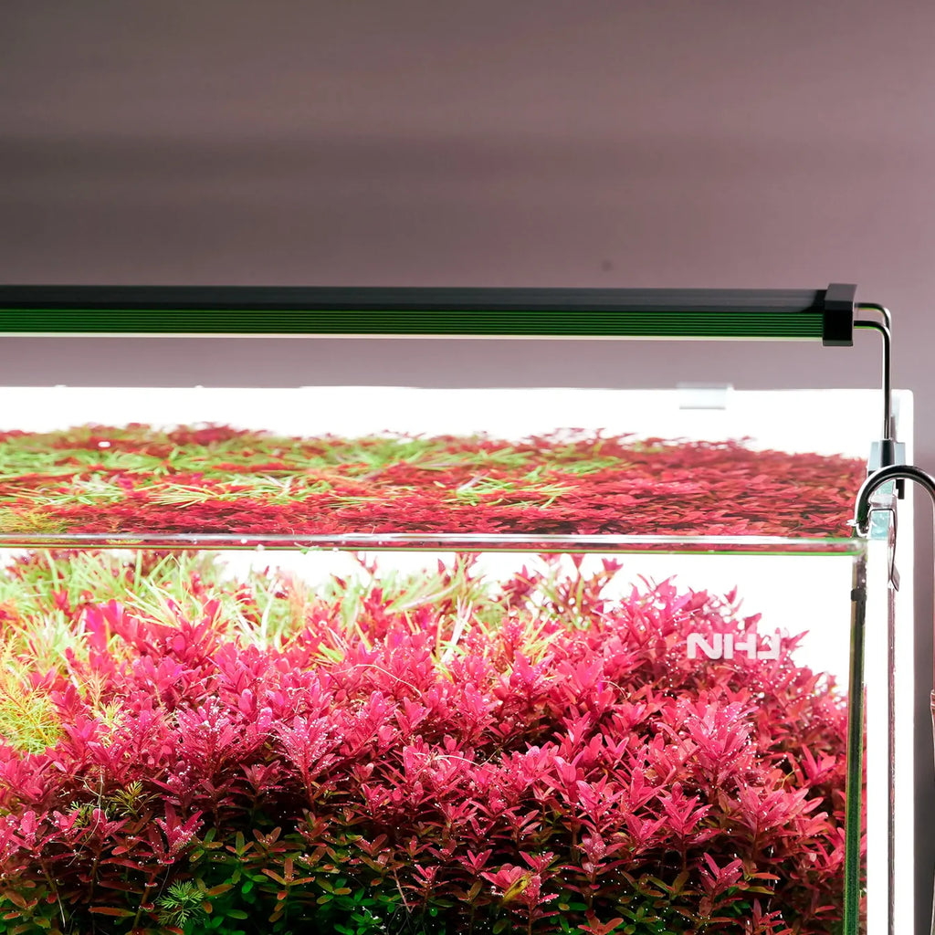 Chihiros B Series LED Light