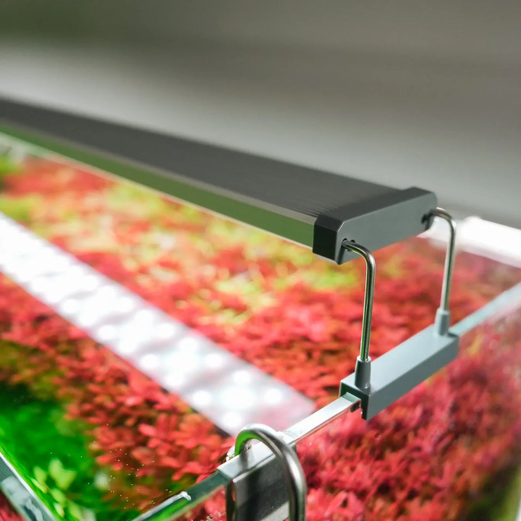 Chihiros B Series LED Light