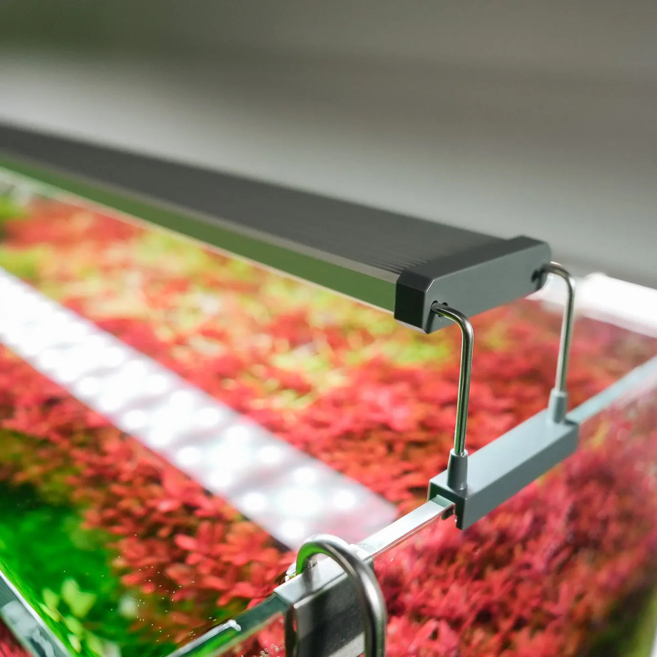 Chihiros B Series LED Light