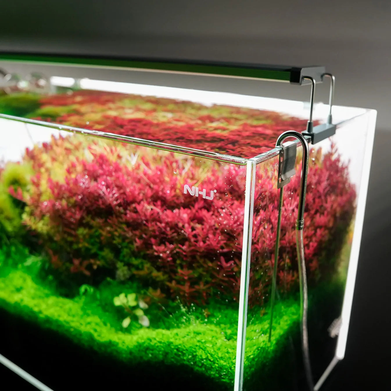 Chihiros B Series LED Light