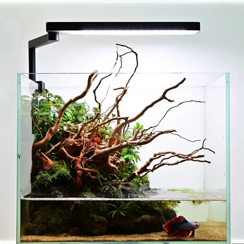 Chihiros C II LED Light
