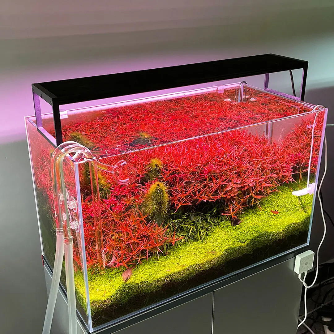 Chihiros WRGB II Slim LED Light